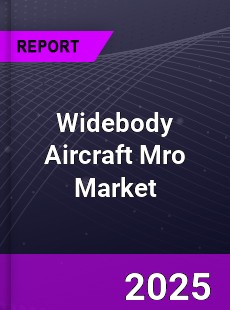 COVID 19 Outbreak Global Widebody Aircraft Mro Industry