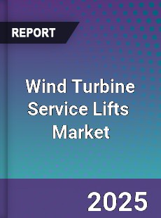 Global Wind Turbine Service Lifts Industry