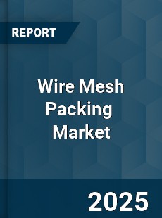 Global Wire Mesh Packing Industry