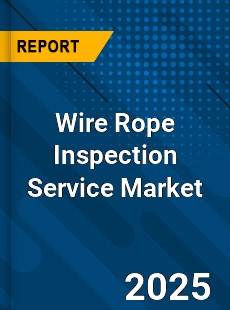 Wire Rope Inspection Service Global and China Top Players Market