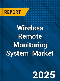 Global Wireless Remote Monitoring System Industry