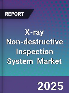 Global X ray Non destructive Inspection System Industry