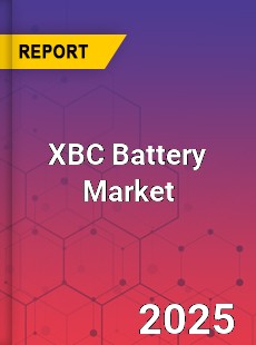 XBC Battery Market Insights Global Outlook and Forecast