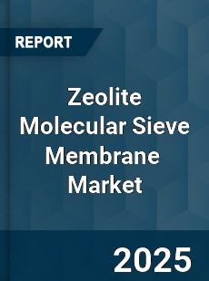Global Zeolite Molecular Sieve Membrane Industry